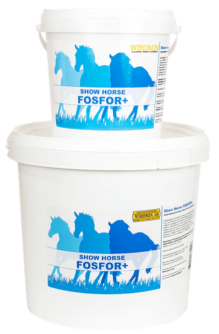 Huvudbild Show Horse Fosfor+