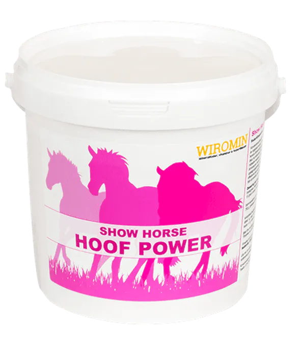 Huvudbild Show Horse Hoof Power